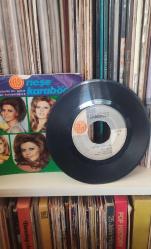 Neşe Karaböcek – Elbet Bir Gün Buluşacağız / Pişman Olur Da Bir Gün Yerli 45’lik plak, dönem baskı.