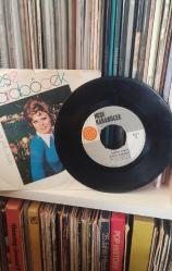 Neşe Karaböcek – Sevda Yolu / Kime Niyet Kime Kısmet Yerli 45’lik plak, dönem baskı.