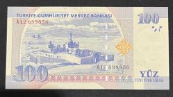 8 EMİSYON 100 YTL SERİ A12 699856 ÇİL