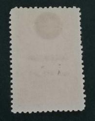 Osmanlı Dönemi Sultan Vahdettin 20 para Damgasız