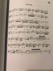 Türkiye-Bulgaristan sınırındaki halkların yaşayan müzik formları ve geleneksel kültürleri: çalıştay bildirileri