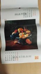 Kodak 1996 yılı takvimi