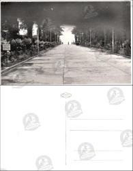 Park Yolu, Fotoğraf, 1950’ler: Palmiye ağaçlarıyla çevrili geniş bir yürüyüş yolunda, uzakta yürüyen insan figürleriyle perspektifli görünüm.