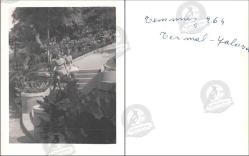 Yalova Termal Tesisleri Merdiveni, Fotoğraf, 1964: Basamaklı ve teraslı bahçe düzenlemesi önünde oturan iki kadın, çiçek tarhları ve ağaçlık çevre.