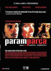 PARAMPARÇA AŞKLAR KÖPEKLER DVD/AMORES PERROS/AMBALAJINDA