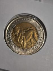 Anadolu'ya Özgü Hayvan Serisi  Asya Aslanı ÇİL