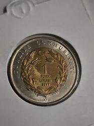 Anadolu'ya Özgü Hayvan Serisi  Asya Aslanı ÇİL