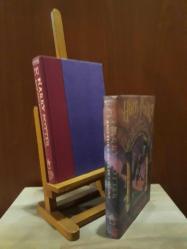 Harry Potter and The Sorcerer's Stone [ CİLTLİ ŞÖMİZLİ ]