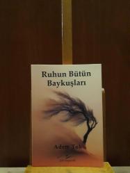 Ruhun Bütün Baykuşları