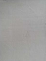 Cumhuriyet 1945 Nüfus Sayımı Blok ..