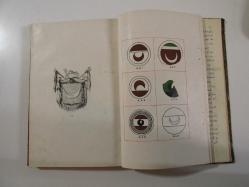 Dar'ül-fünun İlahiyat Fakültesi Mecmuası: 1. Sene. 3. Sayı Mart 1926