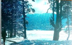 Kartpostal - Turban Abant Oteli (Bolu) 1