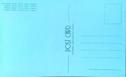 Kartpostal - Turban Abant Oteli (Bolu) 1