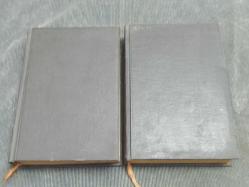 İKİNCİ ADAM - ŞEVKET SÜREYYA AYDEMİR CİLT 1 VE CİLT 2 - REMZİ KİTABEVİ YAYINLARI.CİLTLİ 1966 VE 1967 YILI BASKISI.TEMİZ KİTAPTIR