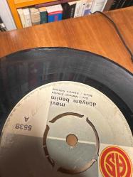 Neşe Karaböcek: Mavi Dünyam Benim - Alım Yeşilim Sarım / 45 Devir Plak Vinly - As Plak 1972  (5538-A)