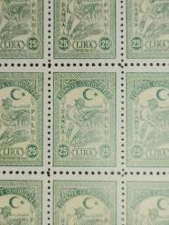 TÜRKİYE 25 Lİ  1  TABAKA  25 LİRALIK PUL