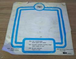 BEYAZ KELEBEKLER-SADECE KAPAK