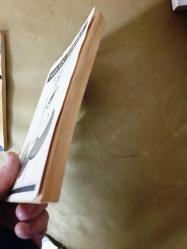 Yapıştırma Bıyık