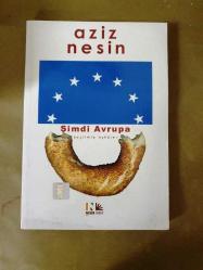 Şimdi Avrupa (Seçilmiş Öyküler)