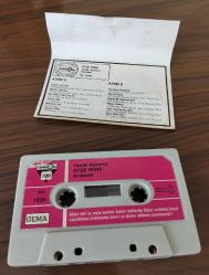 Ayşe Mine - Yasak Aşkımız