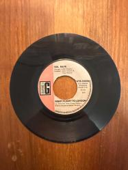 Sol Raye: If We Were Free - Nıght Flight to London / 45 Devir Plak