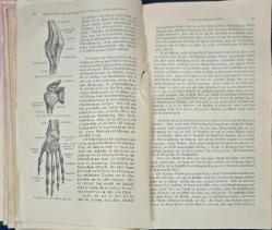 1890 Baskısı Dr.Johannes Hanfe Tarafından Hazırlanmış Der Mensch İsimli Sağlık Kitabı (1.Cilt) 616 Sayfa, Eksik Sayfaları Var