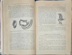 1890 Baskısı Dr.Johannes Hanfe Tarafından Hazırlanmış Der Mensch İsimli Sağlık Kitabı (1.Cilt) 616 Sayfa, Eksik Sayfaları Var