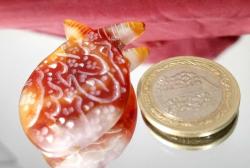 NAS SURESİ YAZILI DOĞAL AKİK TAŞI