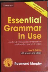 Essential Grammar In Use:With Answers