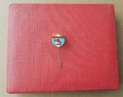 ESKİ - PETROLOFİSİ GENÇLİK SPOR KULÜBÜ ROZETİ - MADALYA ( SICAK MİNELİ MODEL ) C4116