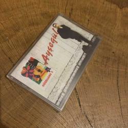 AYŞEGÜL - GÜZELLEME 3 - KASET (JELATİNİNDE)