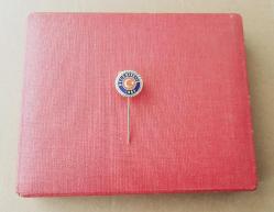 ESKİ - BELEDİYE - İŞ ROZETİ - MADALYA ( SICAK MİNELİ MODEL ) C4135