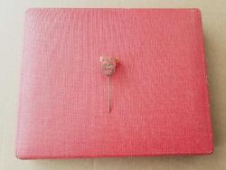 ESKİ - PHILIPS ROZETİ - MADALYA ( SICAK MİNELİ MODEL ) C4141