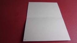 YENİ YIL TEBRİK KARTPOSTALI.