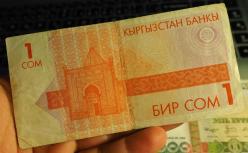 1993 KIRGIZİSTAN 1 SOM ÇT