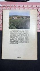 YÜZ LİRAYA BİR DELİ - AZİZ NESİN HİKAYE DİZİSİ 23 - NESİN YAYINEVİ BEŞİNCİ BASIM 1981