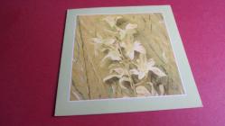 ZAMBAK  ÇİÇEĞİ.