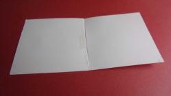 ZAMBAK  ÇİÇEĞİ.