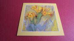 SARI İRİS- ÇİÇEĞİ