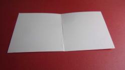 SARI İRİS- ÇİÇEĞİ