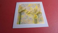 Iris süsen çiçeği