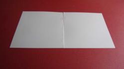 Iris süsen çiçeği