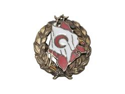 GÜMÜŞ OSMANLI HİLALİ AHMER CEMİYETİ ROZETİ