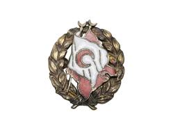 GÜMÜŞ OSMANLI HİLALİ AHMER CEMİYETİ ROZETİ