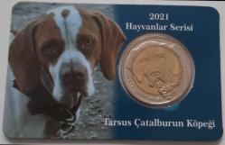 Hayvanlar Serisi 2021 Tarsus Çatal burun Köpeği