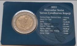 Hayvanlar Serisi 2021 Tarsus Çatal burun Köpeği