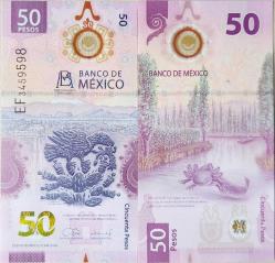 MEKSİKA 50 PESO 2024 HATIRA-BANK OF MEXICO 100.YIL-AXOLOTL TEMALI. POLYMER ÇİL.