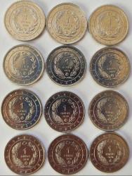 2020 Anadolu'ya Özgü Kuşlar Serisi Hatıra Para Seti