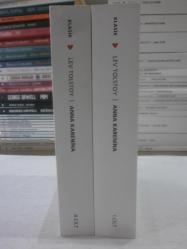 Anna Karenina 2 Cilt Takım
