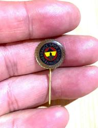 ANTİKA FENERBAHÇE KULÜBÜ ROZET YAKA BROŞU İĞNELİ ROZET FB